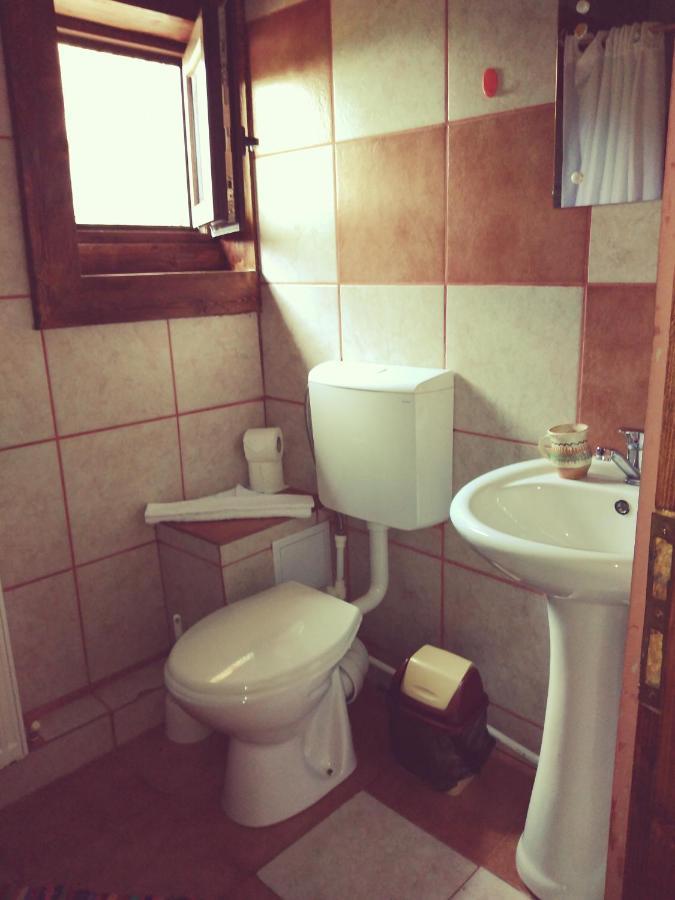 Nucsoara  Cabana Soarelui Retezat מראה חיצוני תמונה